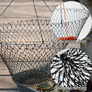 WT 18 Net: Find Top-Quality Options Now