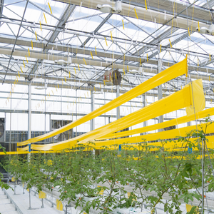 Serre agricole commerciale multi-spans avec système de suspension pour plantes grimpantes (tomates, concombres, raisins) - Product Image 3