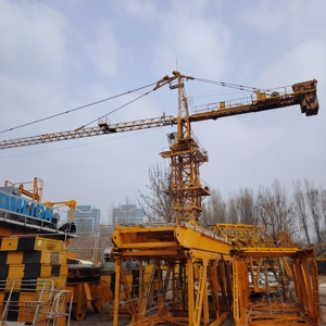 Grue à tour QTZ250 robuste d'occasion, capacité 10t, flèche 70m, sections de cordes principales robustes, expédiée <span class=keywords><strong>en</strong></span> conteneurs HQ de 40 pieds vers l'Afrique - Product Image 2