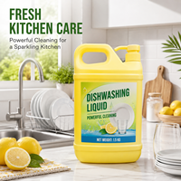 Liquide vaisselle ménager jetable OEM écologique, antibactérien, multi-usages, formule sûre, parfum citron gingembre