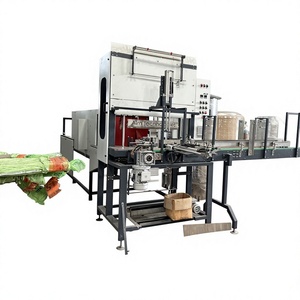 Planta automática de embotellado de agua mineral de alta eficiencia de 5400 BPH para un Embalaje seguro, confiable y de calidad - Product Image 5