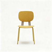 Chaise de salle à manger moderne en plastique et métal, économique et peu encombrante, écologique, pour restaurant, café, hôpital, appartement
