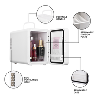 Mini Refrigerador Portátil de 4L con Espejo, Enfriador y Calentador, Refrigerador Compacto para Cosméticos y Cuidado de la Piel con LED, Refrigerador de Belleza para Auto para Almacenamiento de Maquillaje