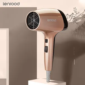 Lenrood LR-2600 Factory Price Mini Portable Hairdressing 950W Home Use Personal Low Noise Electric Hair Dryer