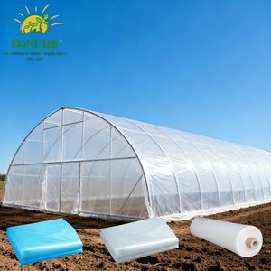 Serres agricoles en film PE pour la culture des fraises, <span class=keywords><strong>de</strong></span> bonne qualité et à <span class=keywords><strong>prix</strong></span> raisonnable, vente en gros - Product Image 3