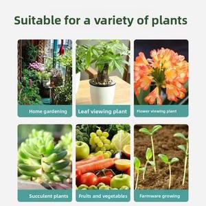 <span class=keywords><strong>Engrais</strong></span> organique soluble dans l'eau à haute teneur en azote, <span class=keywords><strong>phosphore</strong></span> <span class=keywords><strong>et</strong></span> <span class=keywords><strong>potassium</strong></span>, compost d'acide bois en poudre - Product Image 5