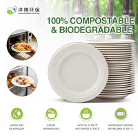 Premium voedselveilige biologisch afbreekbare suikerrietbagasse pulp gevormde containers soepkom saladebox maaltijdvoorbereidingscontainers