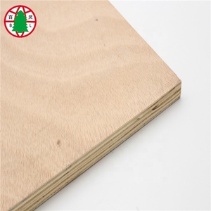 Best Price Commercial Plywood <strong>Baltic</strong> <strong>Birch</strong> Plywood Wholesale - Product Image 1