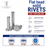 TianFang Rivets Pleins Tête Plate Inox Haute Résistance Fixations Industrielles Sur Mesure Capacité Journalière 10M