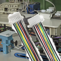 JST SH 1.0mm Pas Mâle Prise Terminal Connecteur De Fil 2 3 4 5 6 7 8 10Pin 10CM 30AWG Fils Électroniques Simple/Double Tête