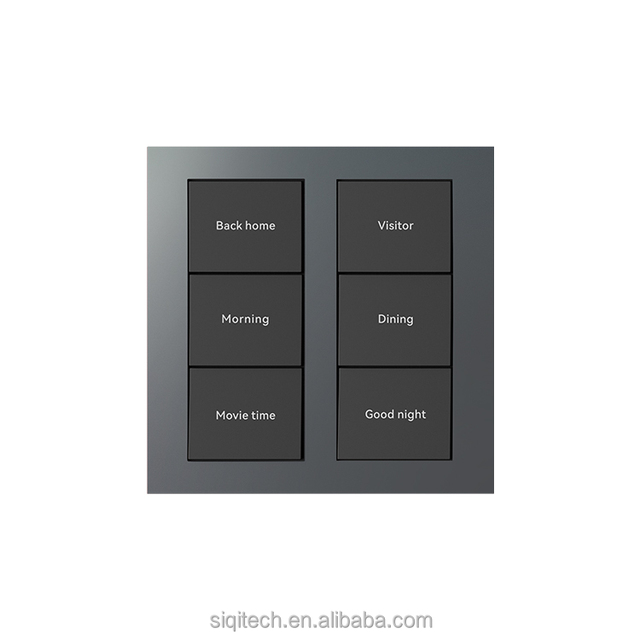Home Smart Controller Switch Electrical Equipment Supplies for Home 1 Gang 2 Way Light Switch Compatible with Alexa and Google