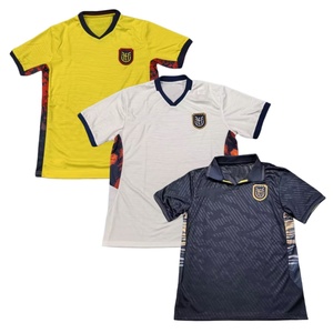 Maillot de football Haïti domicile, extérieur, troisième tenue, version fan, qualité supérieure, vente en gros d'usine, personnalisable pour hommes, Coupe du Monde 2026 - Product Image 2