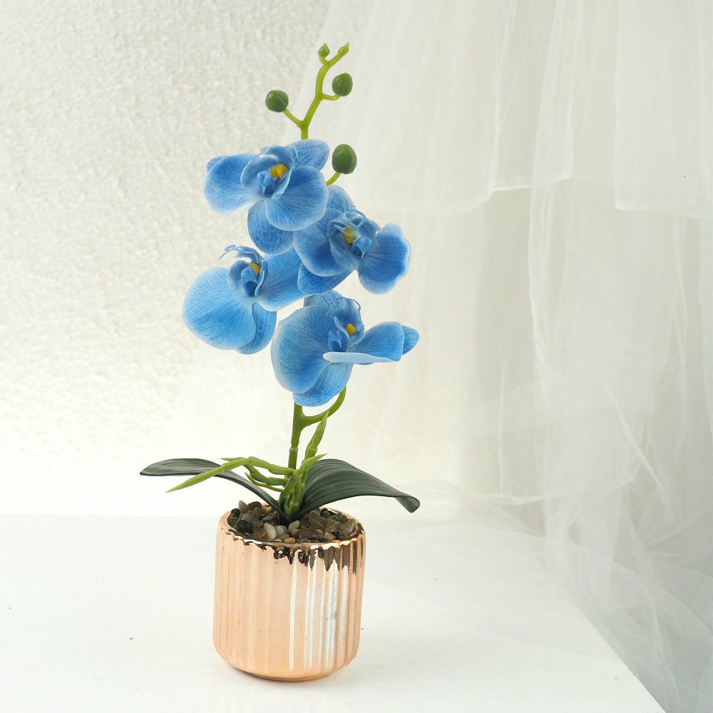 Blue(Flower pot random color)