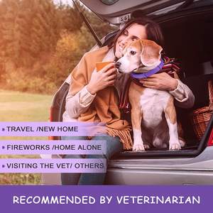 Collier apaisant OEM simple et doux pour chats, collier aux phéromones longue durée (<span class=keywords><strong>60</strong></span> jours) qui aide à réduire le stress, l'anxiété et les bruits forts - Product Image 2