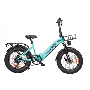 हाई पावर फैट टायर 1000w 48v ऑफ रोड गंदगी सिटी माउंटेन साइकिल थोक व्यापार विक्रेता वयस्क के लिए सस्ती इलेक्ट्रिक हाइब्रिड ई बाइक