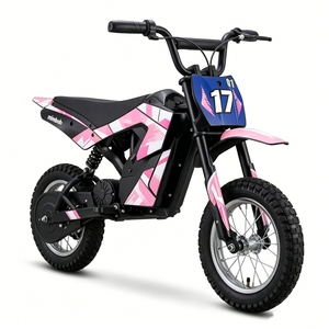 Motocicleta Eléctrica Mini Mimbob 36V 300W, Todoterreno para Niños, Batería Integrada, Motor Central, 3 Velocidades, 25km/h Máx., 60kgs - Product Image 1