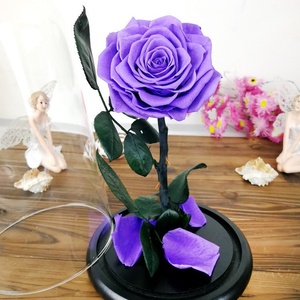 <span class=keywords><strong>Petit</strong></span> <span class=keywords><strong>Prince</strong></span> Rose, fleur préservée sous cloche en verre, boîte cadeau 7-8cm pour Noël, la Saint-Valentin, anniversaire, cadeau créatif - Product Image 6