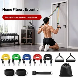 <span class=keywords><strong>Ebuy</strong></span> T317 Juego de 11 Bandas de Resistencia de Tela de Poliéster para Ejercicios en Casa, Cuerdas Elásticas para Entrenamiento de Fuerza en Interiores - Product Image 6