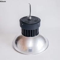 Luminaires industriels et d'entrepôt en aluminium Alison, éclairage de studio haute luminosité, lustres 100W-300W