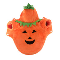 Costumes d'Halloween amusants en forme de citrouille pour chats et petits chiens, en velours ciselé, pour séances photo