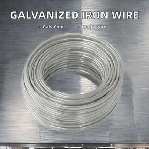 All-Gauge Electro Galvanized and Hot Dipped Iron <strong>Wire</strong> Loop Tie <strong>Wire</strong> with Cutting Service TUV Rheinland Verified - Product Image 3