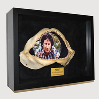 DVD Original Nuevo de la Película JAWS con Autógrafos de Steven Spielberg, Roy Dreyfuss y Benchley, con Certificado de Autenticidad para PLC