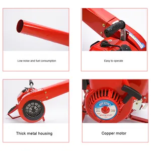 เครื่องเป่าหิมะเบนซิน 220V พร้อมตัวเก็บฝุ่นสำหรับการจัดการไฟป่า - ชิ้นส่วนมอเตอร์หลัก - Product Image 3