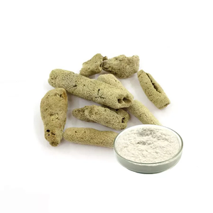 Косметический ингредиент <span class=keywords><strong>Spongilla</strong></span> Lacustris экстракт порошок Губка Spicule <span class=keywords><strong>Spongilla</strong></span> Lacustris - Product Image 1