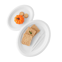 Nouvelle vaisselle jetable personnalisée 100% canne à sucre biodégradable 10 pouces 3 compartiments assiette de bagasse