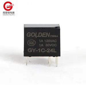 Gouden 24V Relais 6 Pins Mini Open 0.15W 0.2W GY-1C-24L