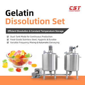 Ensemble de dissolution de gélatine CST 100L/200L avec remplissage automatique - Product Image 3