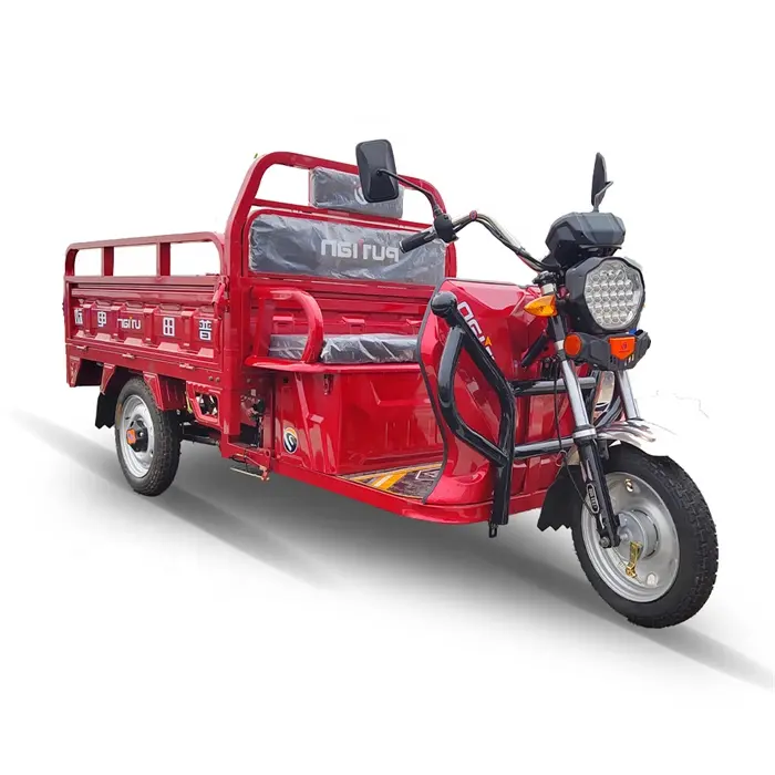 Factory Price Custom Leisure Pedal 24 Inch Electrically Operated Tricycle