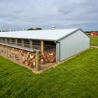 Bâtiments préfabriqués pour poulaillers en métal à construction rapide et économique, abris pour volailles, bâtiments pour fermes avicoles