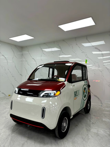 Vente flash, tout neuf, voiture électrique à faible vitesse, petite, nouvelle énergie, 1000 W, 60 V, <span class=keywords><strong>sans</strong></span> <span class=keywords><strong>permis</strong></span> de conduire, pour les personnes âgées, usage quotidien - Product Image 2