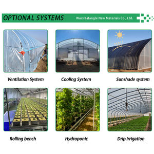 Invernadero Arqueado para Cultivo <span class=keywords><strong>de</strong></span> Vegetales al Aire Libre, Invernadero Agrícola Pequeño <span class=keywords><strong>de</strong></span> un Solo Tramo, Invernaderos Comerciales para Cultivo - Product Image 3