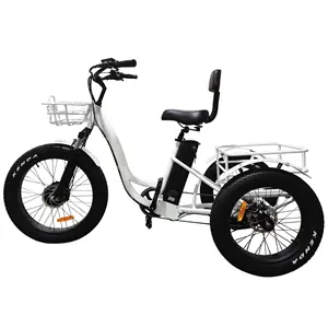 2022 rista 사이클 48v 500w trike 지방 타이어 전기 자전거 세발 자전거 3 휠 자전거 E Trike 카고 세발 자전거 전기 세발 자전거