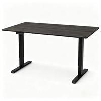 Bureau debout électrique moderne et minimaliste à double moteur, réglage en hauteur, cadre en acier, chargement USB, autoportant pour bureau à domicile