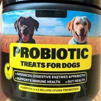Compléments nutritionnels pour animaux de compagnie OEM/ODM : Poudre d'ail pour chiens, Vitamines B1/B6/B12, Comprimés à mâcher probiotiques anti-puces et tiques pour animaux