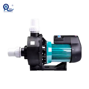 WATER CROWN SG01 Precio de Fábrica Bomba de Agua de 1 HP con Carcasa de Fibra de Vidrio, Caudal de 67.3 gpm para Piscina, CA 110-240V, Enchufe Europeo - Product Image 3