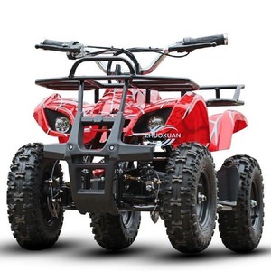 Contemporary Mini Quad Bike, Two-Stroke <b>Gasoline</b> Off-Road Quadricycle For Youngsters - Product Image 6