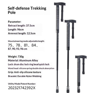 Bâton de randonnée réglable en 3 sections en alliage d'aluminium OEM, poignée antidérapante, conception rétractable, capacité de 250 lb - Randonnée, alpinisme - Product Image 2