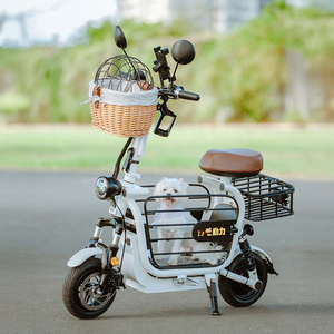 Nouveauté : Scooter électrique léger et portable 48V en acier pour animaux de compagnie, transport extérieur pour chiens de petite à moyenne taille - Product Image 2
