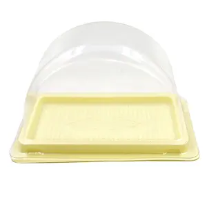 Hot Sale TakeAway plastic Disposable Blister Box Large Size Cake Box Arched Clear Swiss Roll Packaging Box