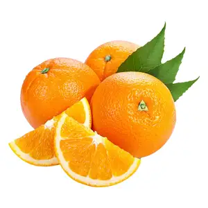Aceite de naranja 100% puro de grado terapéutico, proveedor de aceite por el fabricante de Aromas de mi venkatesh