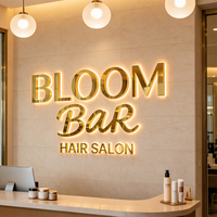 Letrero con Letras 3D Retroiluminadas con LED Personalizado para Interiores y Exteriores, Letrero Comercial con Letras de Canal LED Retroiluminadas, Logotipo para Salón de Belleza