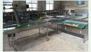 Machine de tri et de lavage automatique haute précision pour œufs de poule et fruits, avec plateau en acier inoxydable 304, pour ligne de production et emballage - Product Image 4