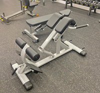 Banc d'extension dorsal multifonctionnel pour la musculation en salle de sport, banc de sit-up réglable, chaise romaine