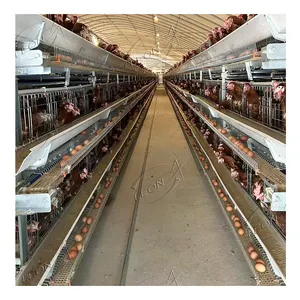 Husbandry Automatic Animal Poultry Farming Equipment Layer Chicken Cage For Layers Farming