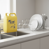 Détergent liquide vaisselle jetable écologique personnalisé en gros 10KG pour la restauration, nettoyant de cuisine avec 5%-15% d'ingrédients actifs