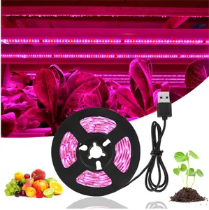 Luz LED para cultivo Phytolamp de espectro completo 5V USB tira de luz para plantas 1m 2m 3M Phyto lámpara para plantas flor invernadero tienda hidropónica